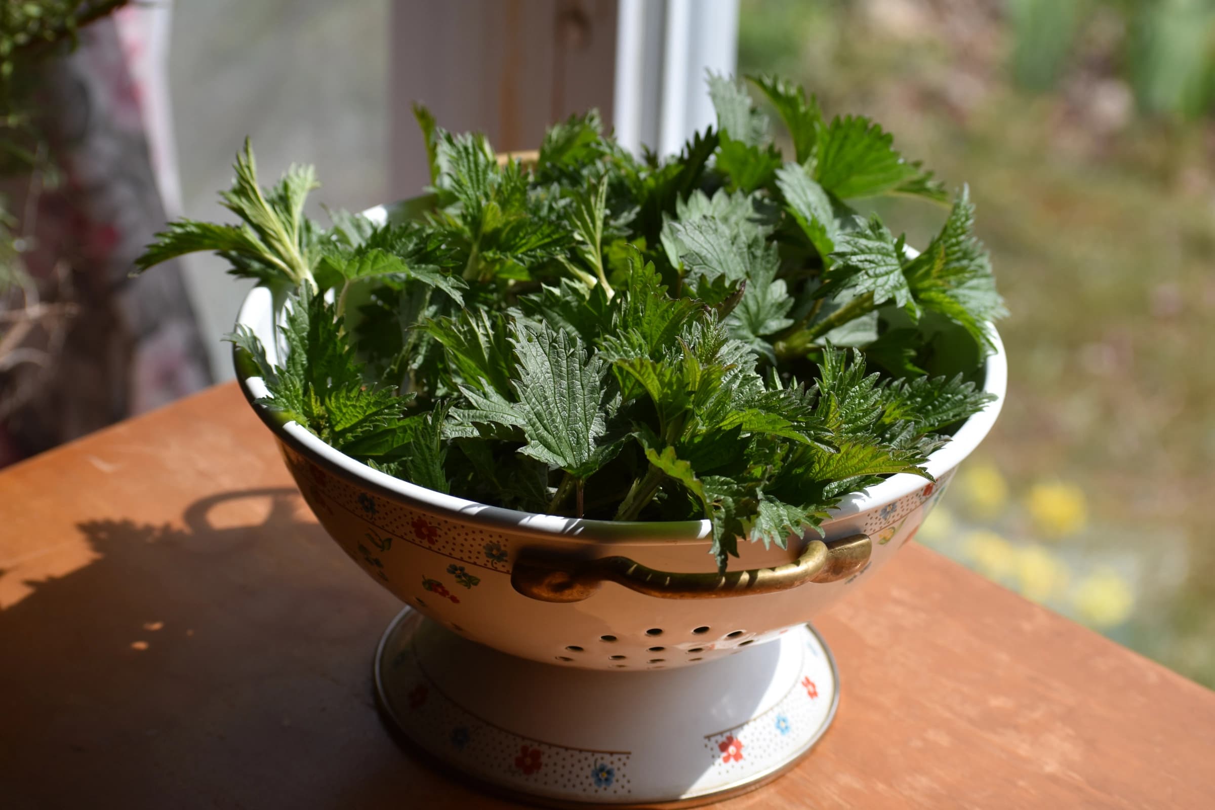 ŽIHĽAVOVÝ DETOX: Za 21 dní dá do poriadku pečeň, alergie a vaša tvár omladne – sila a nestojí nič!