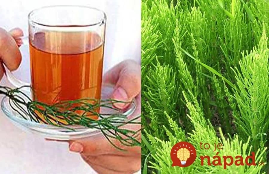 Čaj z prasličky vám po 40-tke zmení život: 21 liečivých účinkov, ktoré by mal poznať úplne každý!