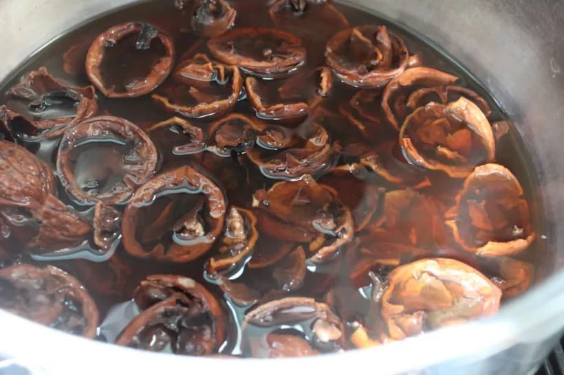 Orechové škrupiny zalejte vodou a zabudnite, čo je kašeľ a hlien v pľúcach: Uložte si RECEPT!