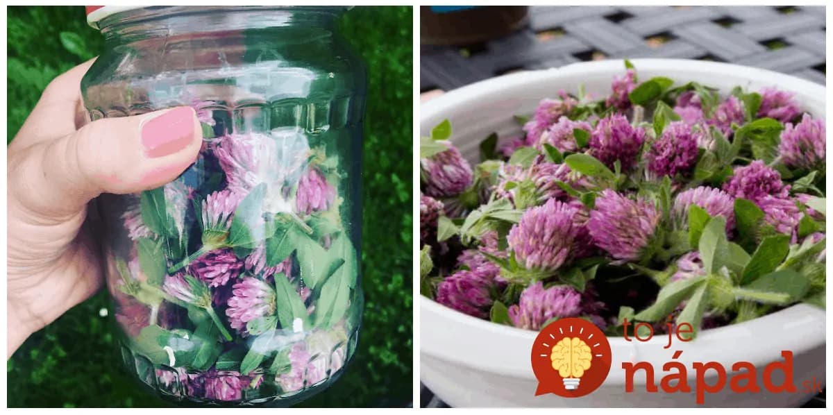 Len odtrhnúť a zaliať olejom: Toto nie je žiadna burina, ale zázračná rastlina, ktorú by mali poznať všetky ženy po 40-tke!