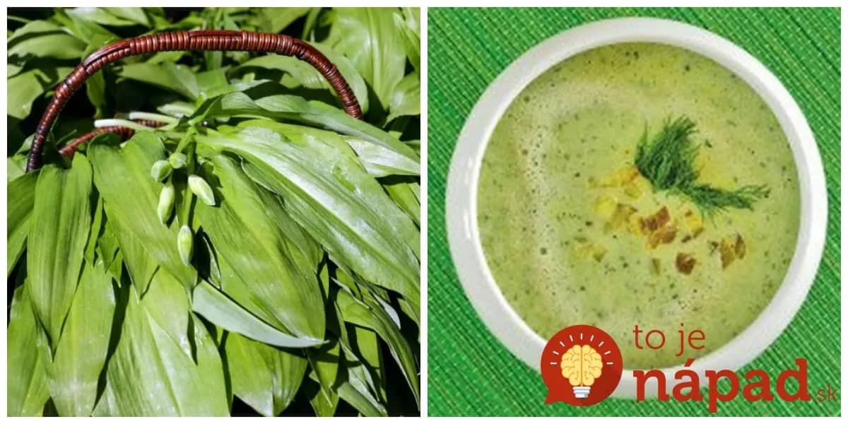 Bič na únavu a choroby: Liečivá polievka z medvedieho cesnaku – zaručene vás postaví na nohy!