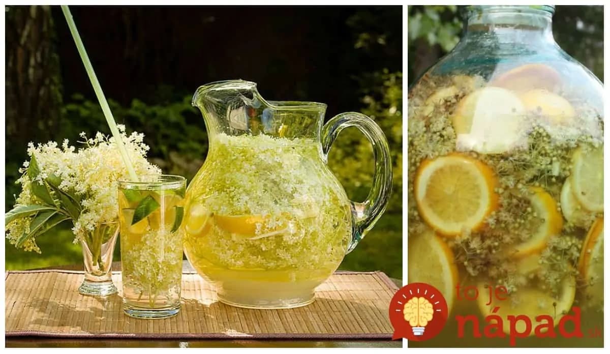 Zázračná moc bazového kvetu: Týchto 12 účinkov pocítite, ak si z nej urobíte liečivú letnú limonádu – perfektná na osvieženie!