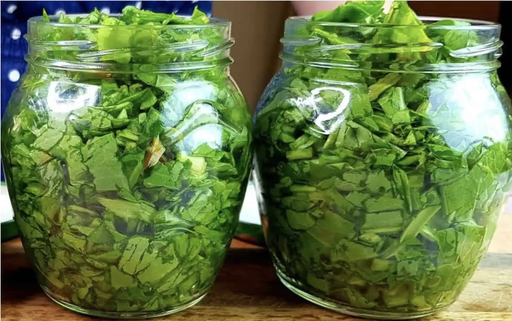 Domáce antibiotikum z medvedieho cesnaku: Je to väčšia sila ako lieky!