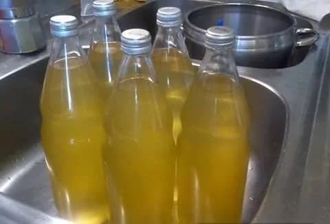 Jarný zázrak na dusivý kašeľ a choré dýchacie cesty: Urobte si sirup z tejto rastlinky – vydrží vám celý rok!