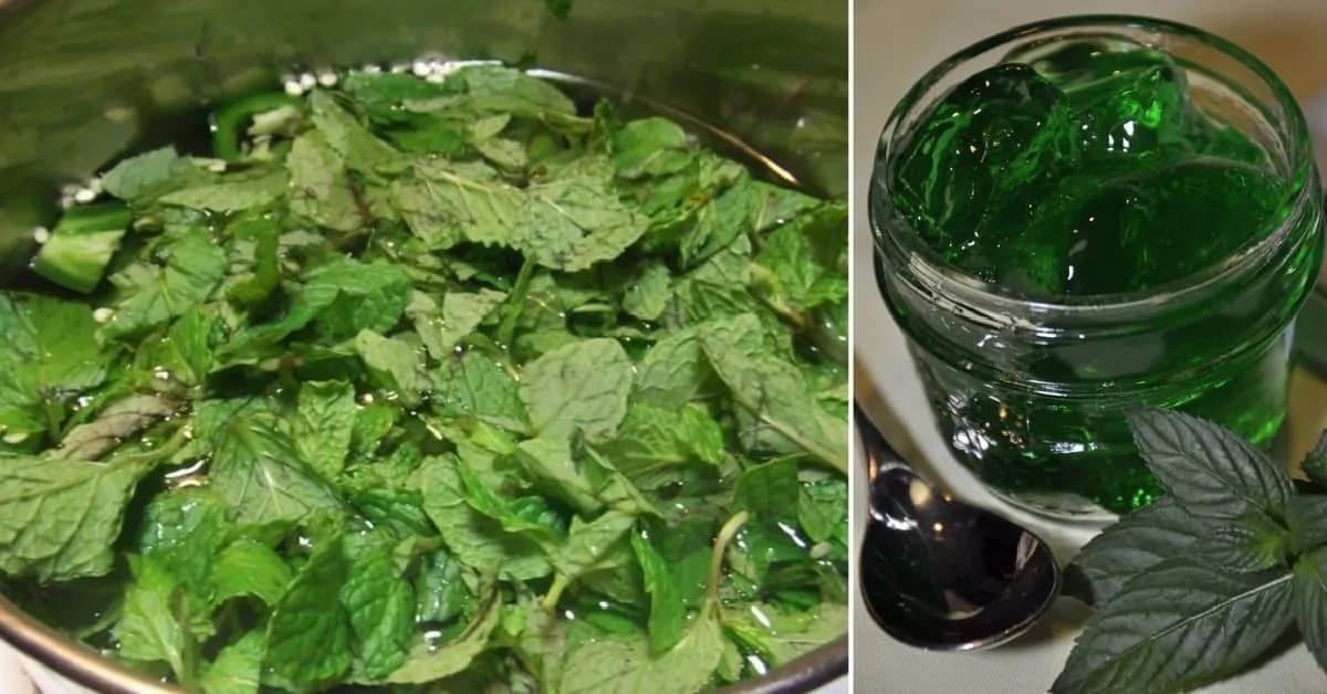 Najlepšia pochúťka na leto i na zimu: Mätovo-citrónový džem, ktorý chutí, aj lieči!