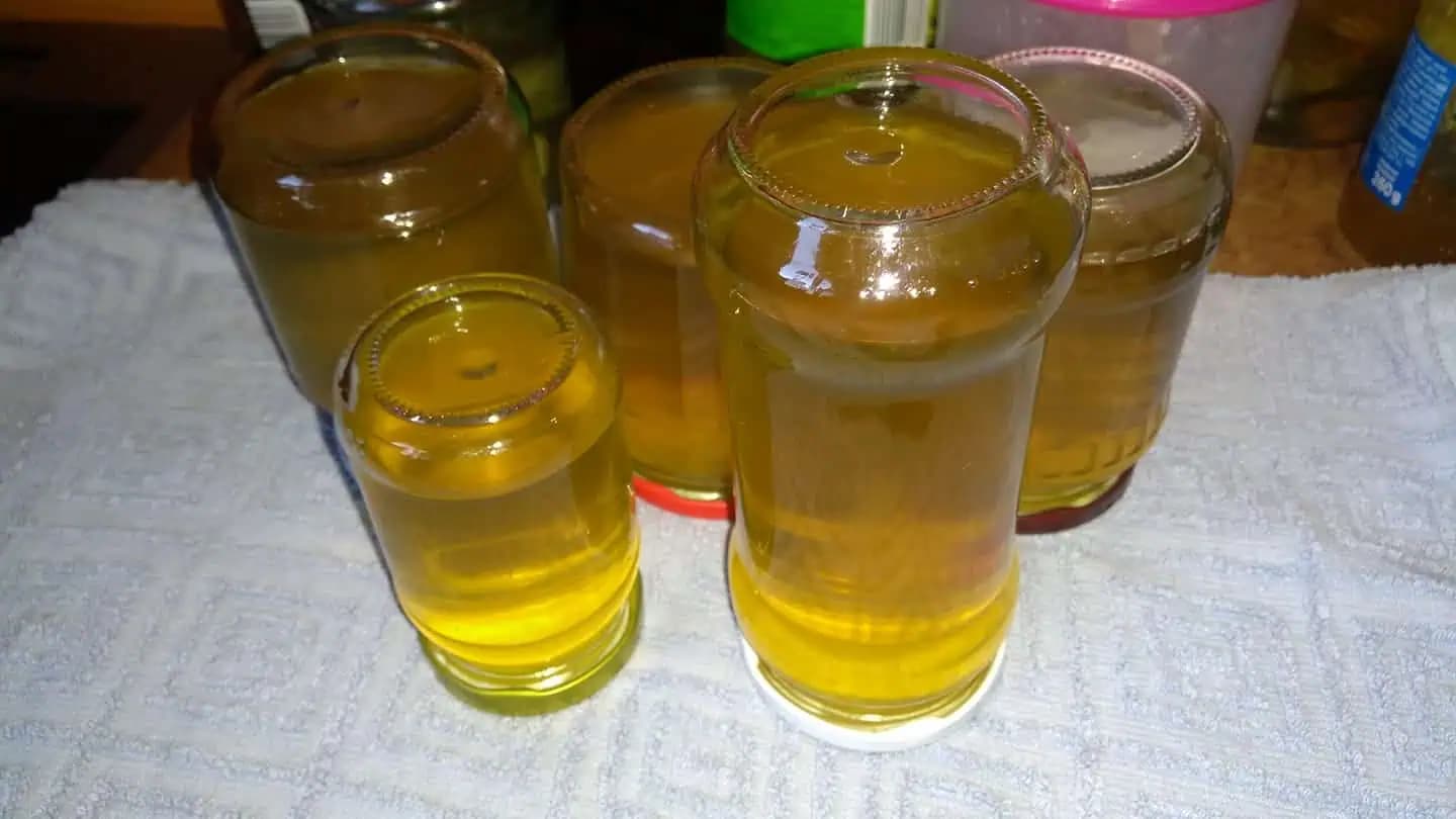 PÚPAVOVÝ MED lieči kašeľ, vtiahne zápal a pomáha na mnohé choroby: Zapíšte si RECEPT!