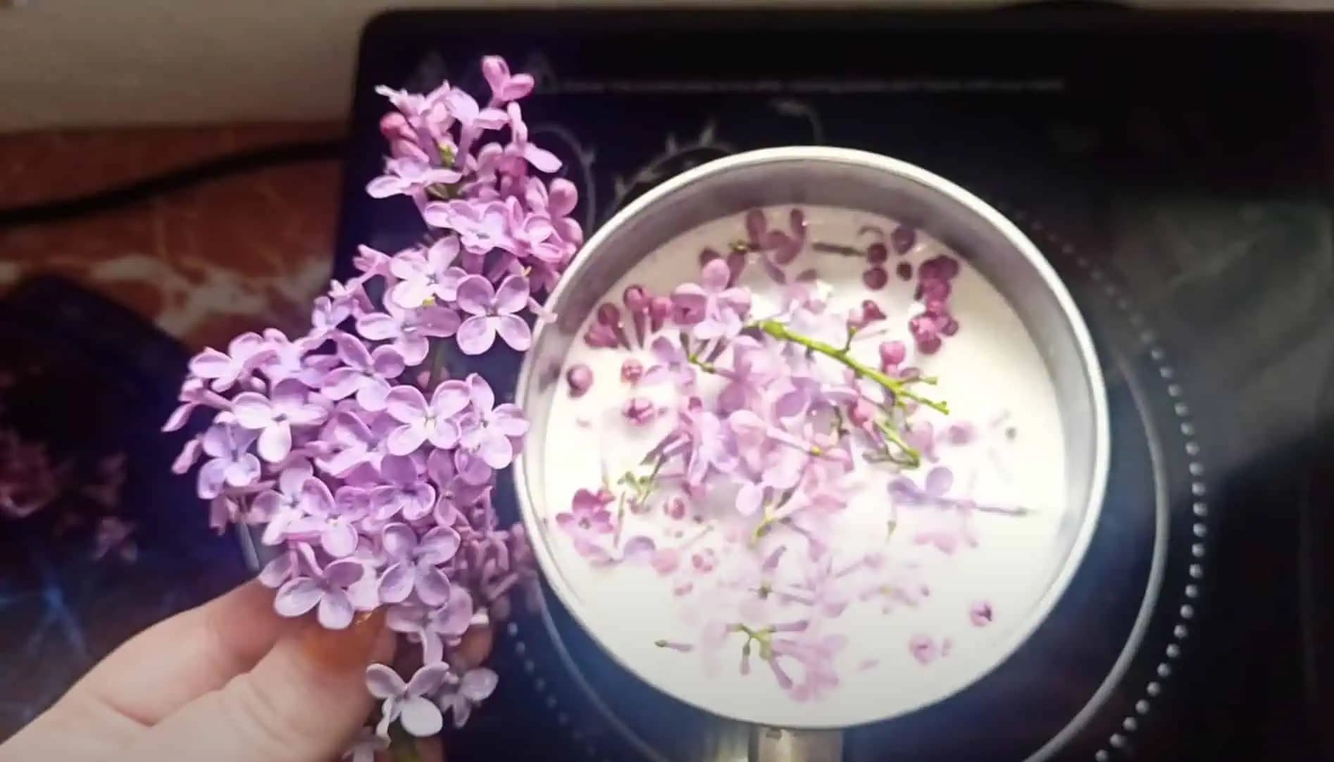 Dajte variť kvety ORGOVÁNU do obyčajného mlieka a nikdy nezabudnite na tento recept: TOTO ma naučila moja babička!