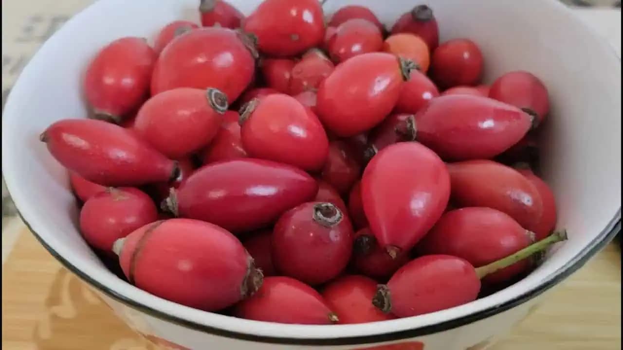 PLODY, ktoré zlepšujú videnie, pomáhajú na choré kĺby aj slabú imunitu! Nazbierajte si na JESEŇ tento poklad!