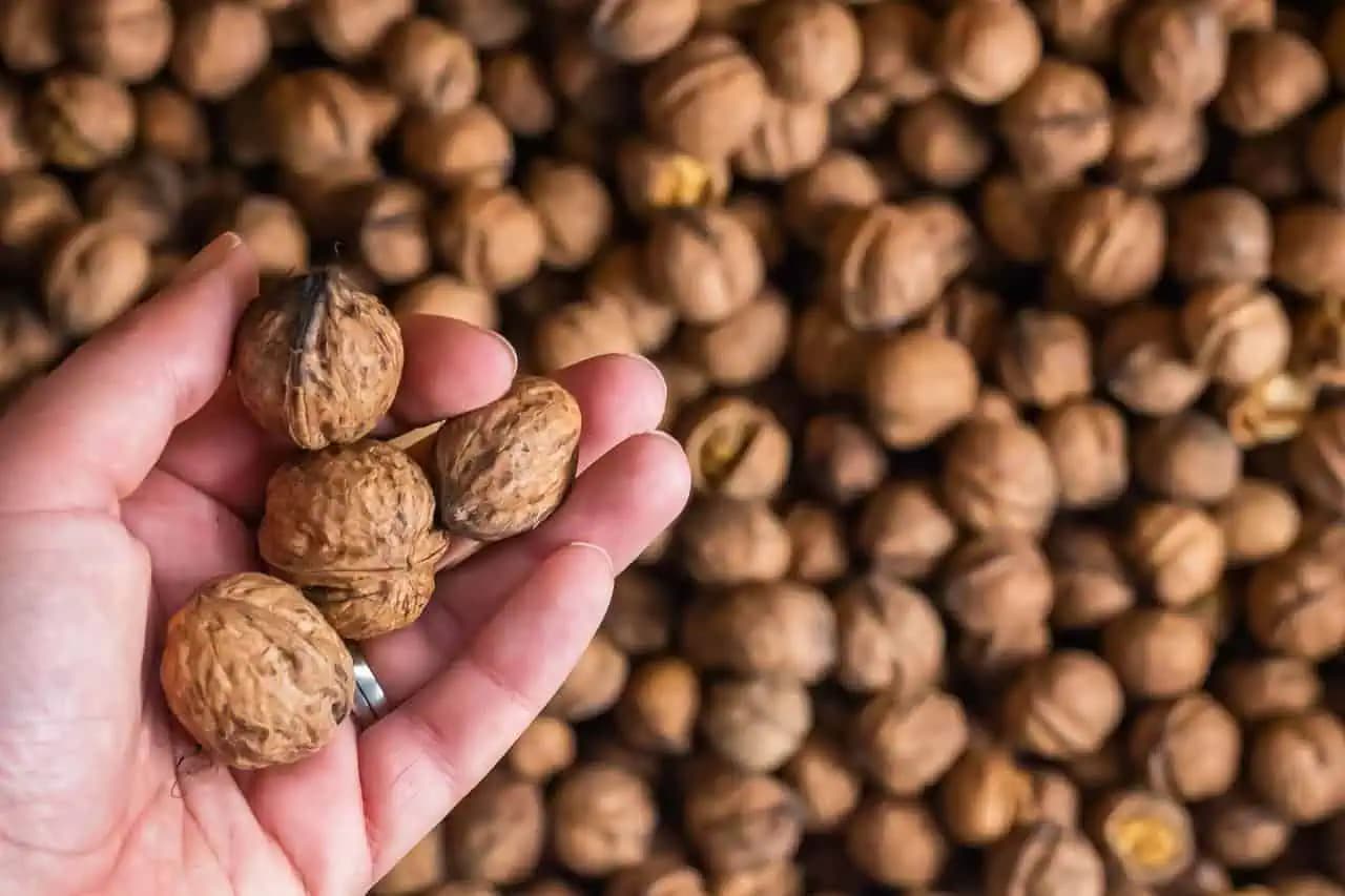 Na orechy nalejte VRIACU vodou a nechajte pol hodiny STÁŤ: Rada, za ktorú sa poďakujete!