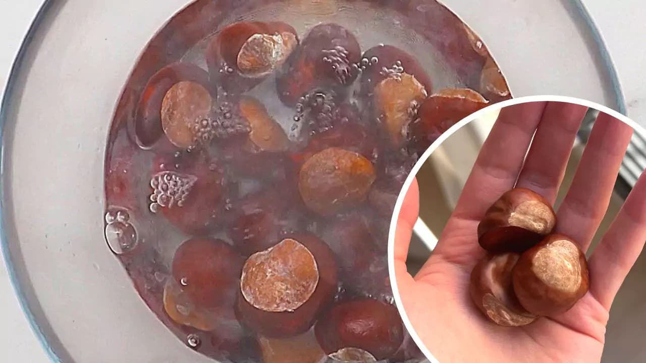 Vložte gaštany do VRIACEJ vody: Babička mi prezradila toto tajomstvo!