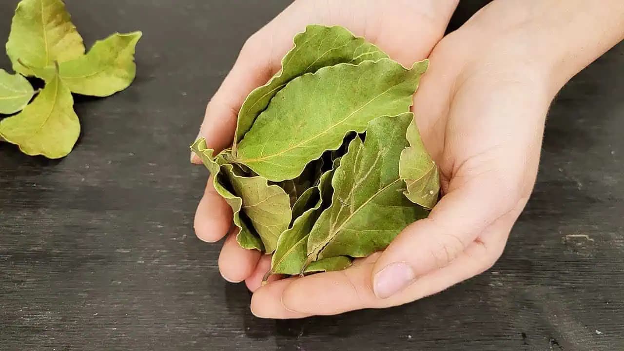 Vrásky z TVÁRE miznú, vlasy rastú ako šialené a nevypadávajú: Musíte skúsiť, čo dokáže táto prísada!