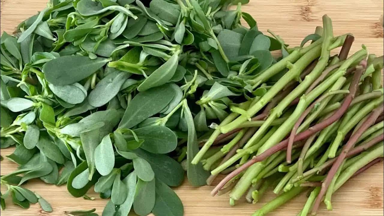 Spoznávate zelené listy na obrázku? NIE burina, ale jedna z najliečivejších rastlín, aká u nás rastie!