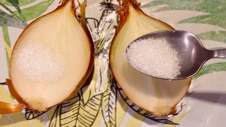 CIBUĽA S CUKROM! Hrdina nášho detstva: Zázračná ľudová medicína našich babičiek proti kašľu, angíne a virózam!