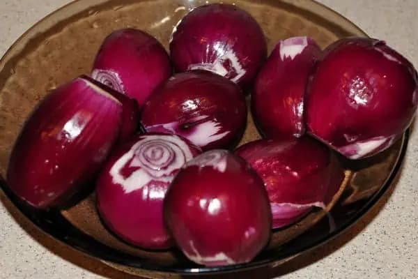 Hovoria jej „zabiják“ KŔČOVÝCH ŽÍL: Návod, ako liečiť kŕčové žily pomocou červenej cibule!