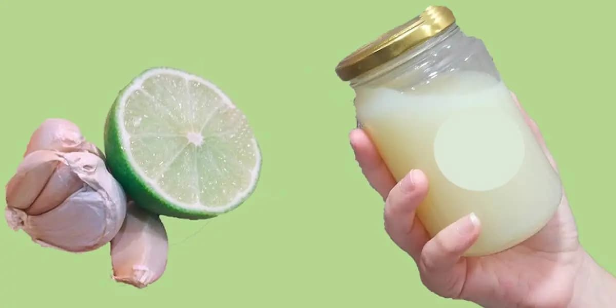 Cesnak s citrónom a medom čistí pľúca od hlienu, detoxikuje a zabraňuje upchávaniu ciev: TU je recept!