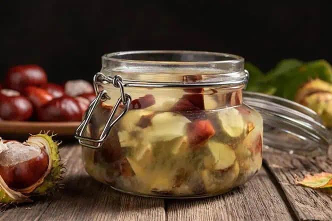 Zabudnite, čo je reuma, boľavé kĺby a kŕčové žily : Prababkin všeliek z obyčajných GAŠTANOV, v lekárni ho nekúpite!