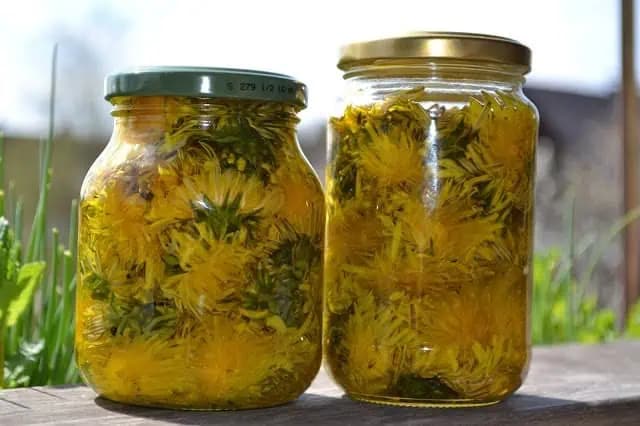 Púpavový olej odstráni bolesť kĺbov, lieči artritídu, bolesti hlavy a ak máte kŕče, už ho nedáte z ruky!