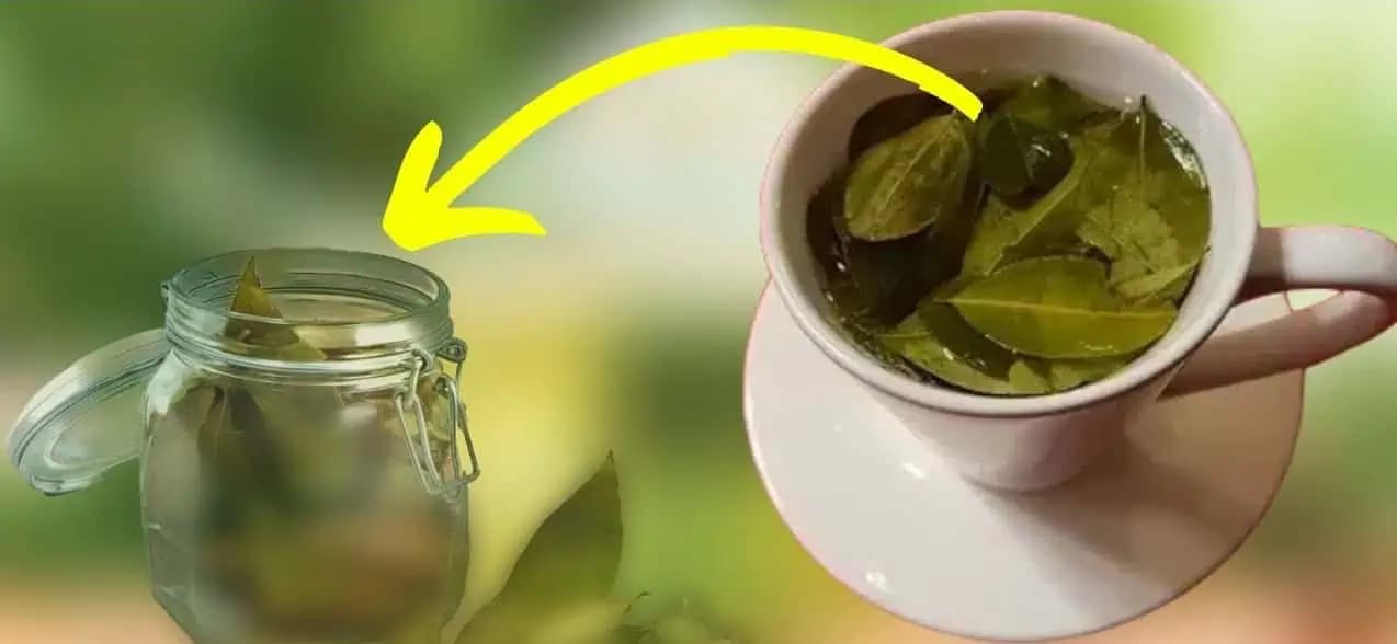 ČAJ, ktorý vzdoruje smrti: Stará múdrosť hovorí, že lieči viac ako 200 chorôb a dokonca…