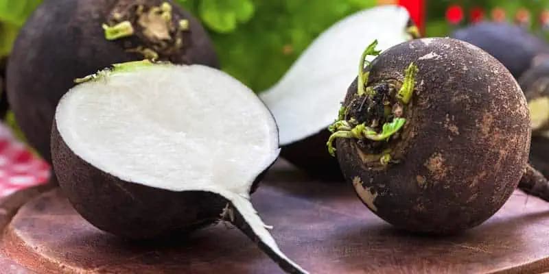 Čierna reďkev je skutočne účinná pri žlčových kameňoch a poruchách štítnej žľazy!