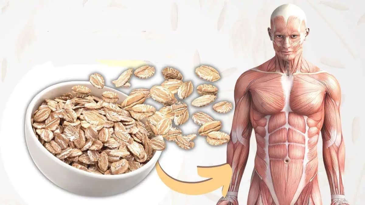 Čo sa stane s vaším telom, keď začnete jesť lacné OVSENÉ VLOČKY? Budete prekvapení!