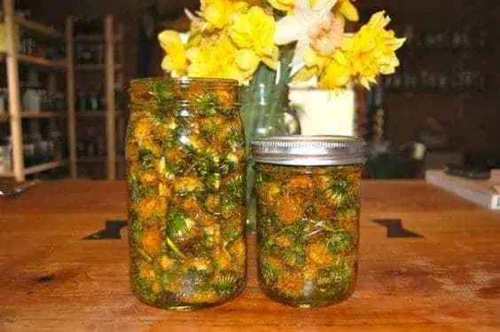 Kašeľ likviduje na počkanie: Najsilnejší liek na kašeľ a priedušky máte na jar rovno pod nosom, vydrží celý rok!