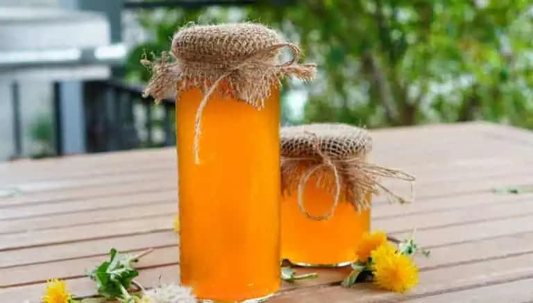 SIRUP z jarnej púpavy lieči všetky choroby a čistí telo, hovoril dedo: Zapíšte si RECEPT, je na nezaplatenie!