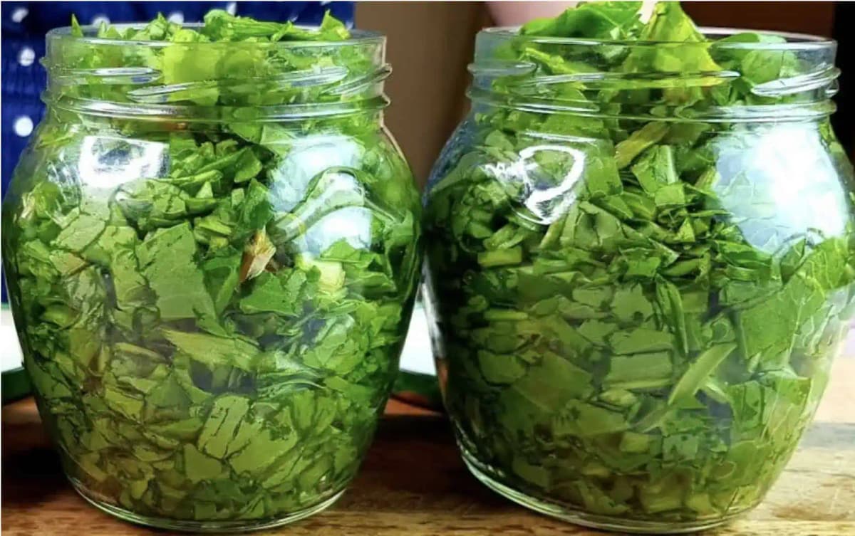 Domáce antibiotikum z medvedieho cesnaku: Je to väčšia sila ako lieky!