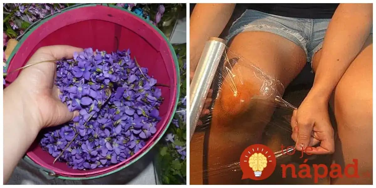 Keby ste vedeli, čo tento drobný kvietok dokáže s boľavými kolenami, zapáleným hrdlom a pokožkou, všímali by ste si ho omnoho viac!