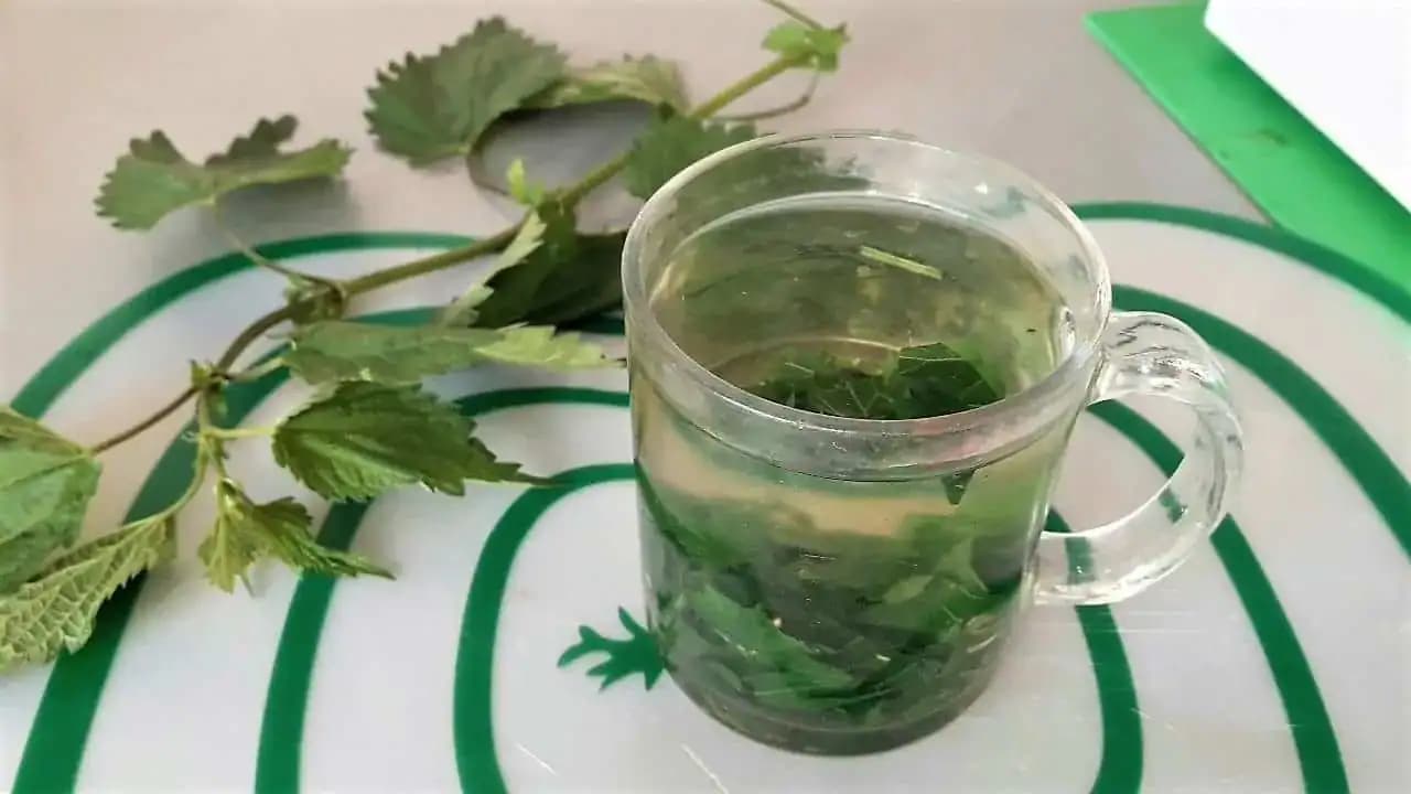 Nad touto kúrou jasajú aj lekári a pritom nič nestojí: Stačia len 2 týždne a prečistí krv, pomôže pečeni a vyplaví z tela všetko zlé!